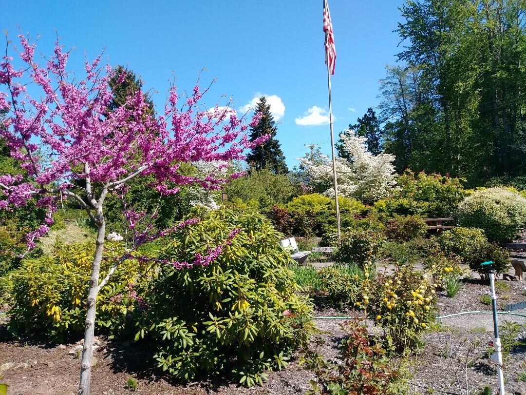 Master gardeners 1.jpg